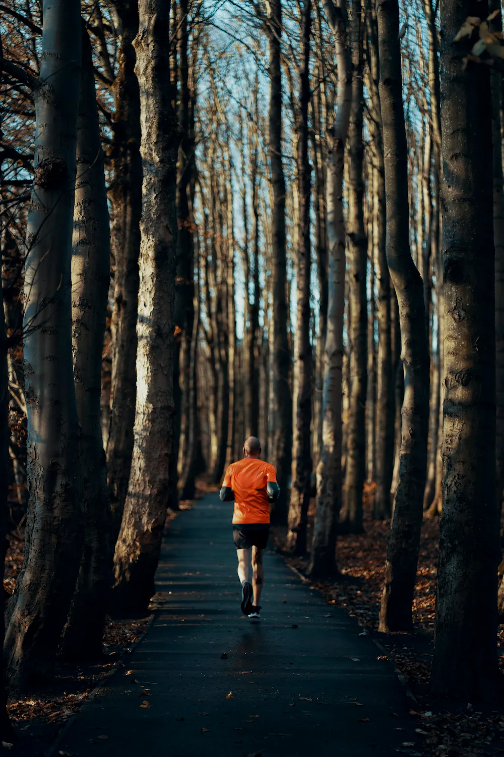 A runner in an orange shirt seen from behind, running down a path through a row of tall bare trees.