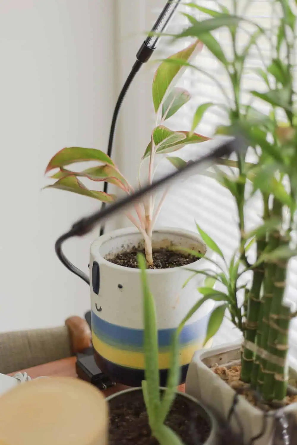 A clip-on grow light angled over small potted plants on a windowsill.