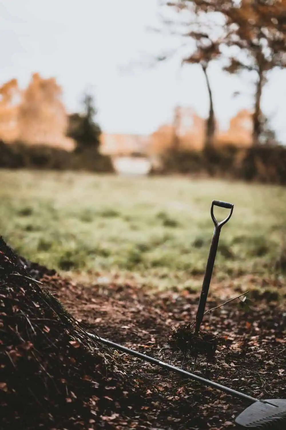 A shovel with a D-handle stands upright in the ground next to a rake, surrounded by fallen autumn leaves.