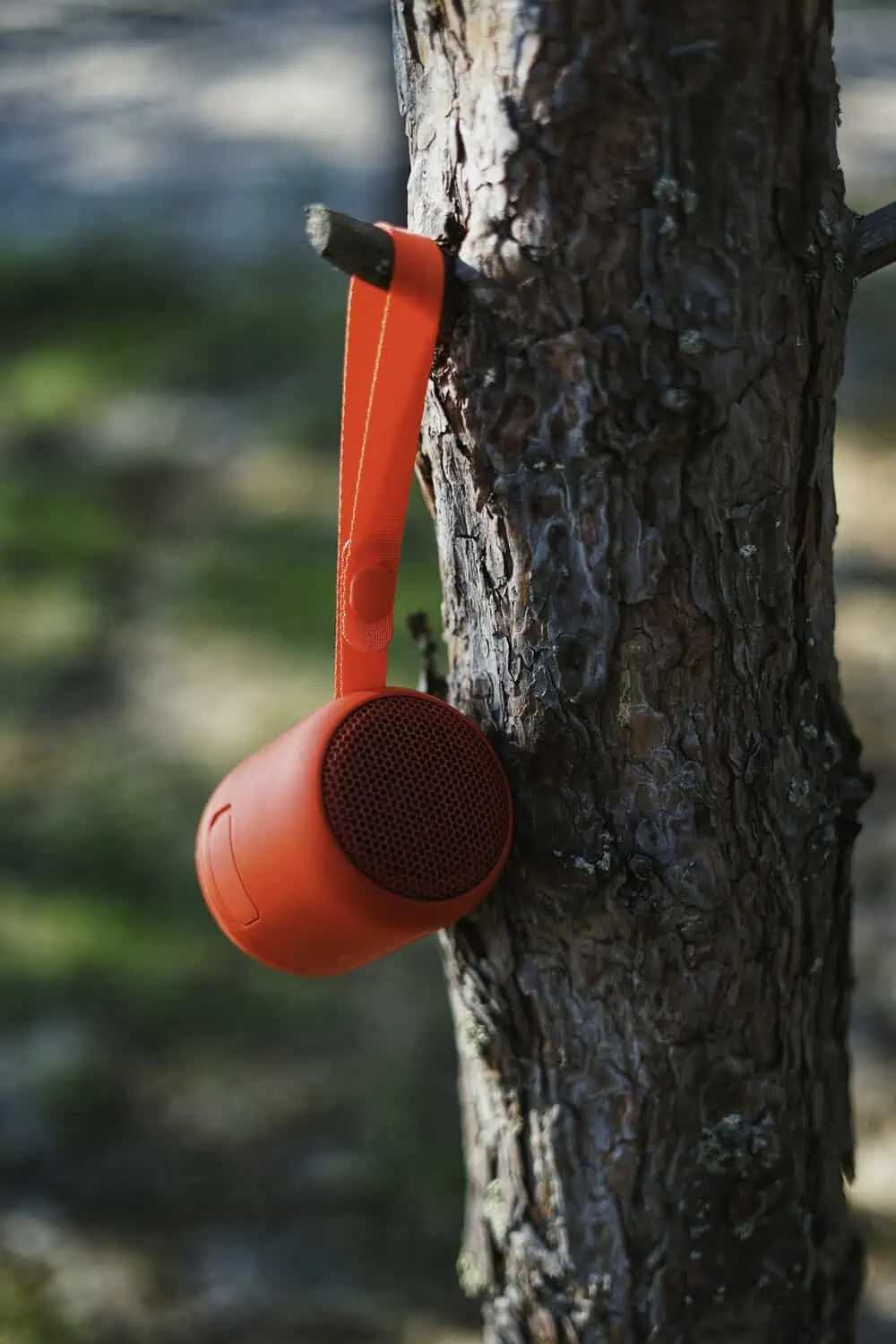 An orange portable speaker hangs by its strap from a tree branch in the woods.