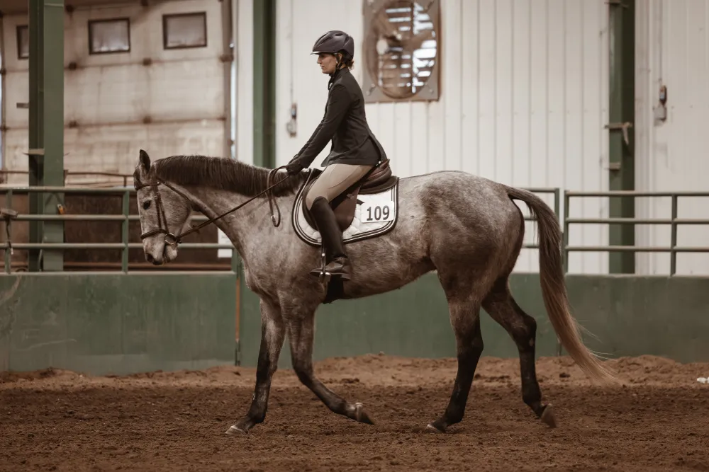 Horse and rider in the arena at South Peace Horse Club