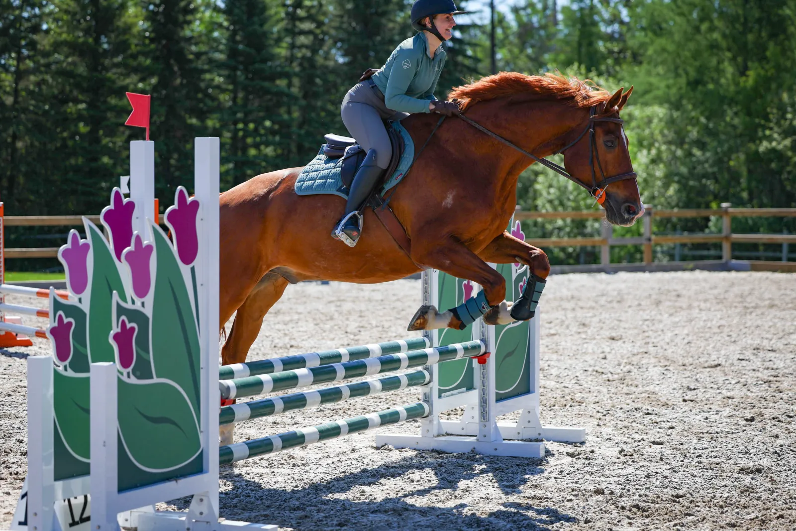 Horse and rider clearing a cross-country jump at a South Peace Horse Club event