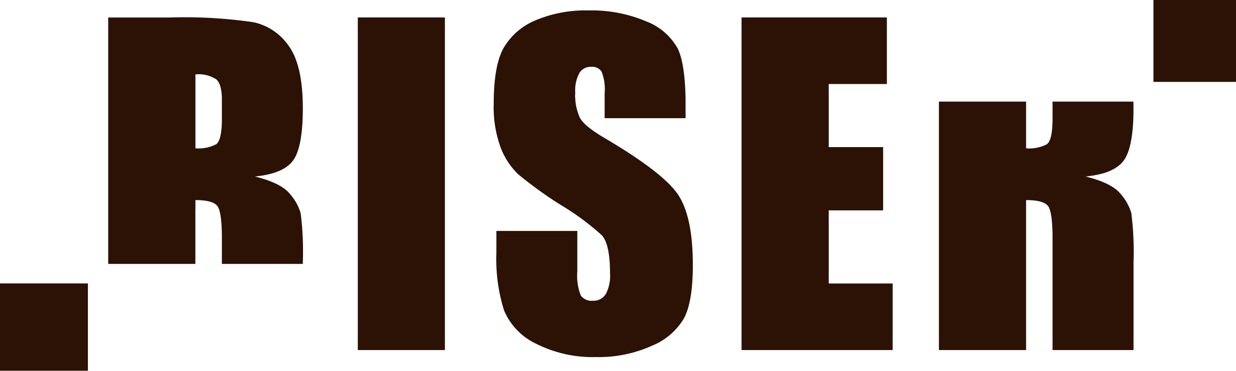 The word 'RISER' in large, bold, dark brown capital letters on a transparent background.