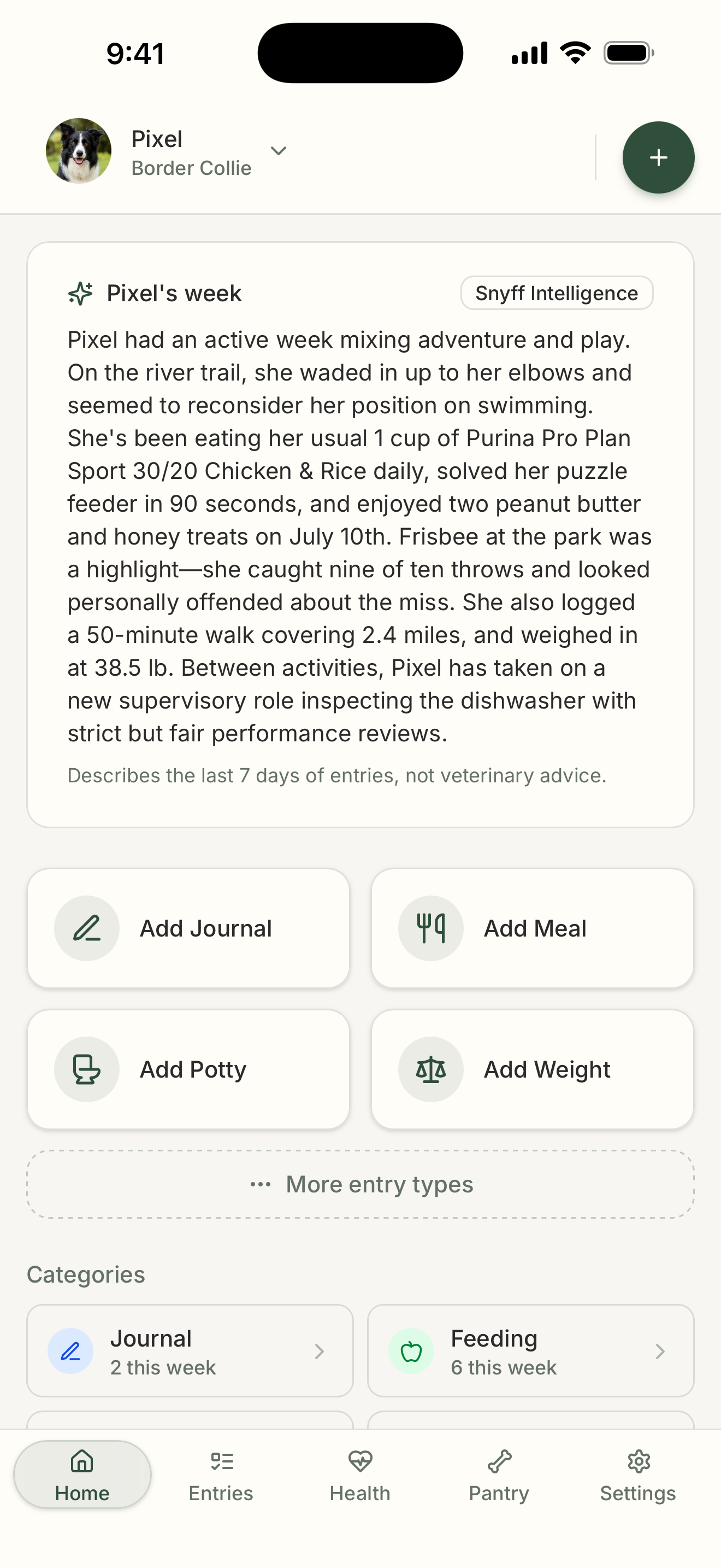 A Snyff Intelligence weekly digest recapping a pet's meals, walks, play, and weight over the past seven days.
