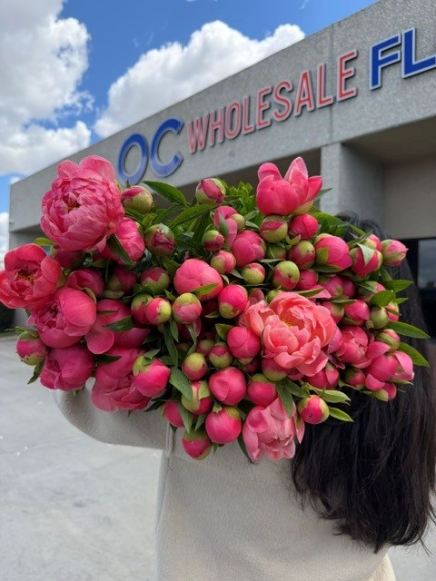 Bright coral flowers from OC Wholesale Flowers inventory