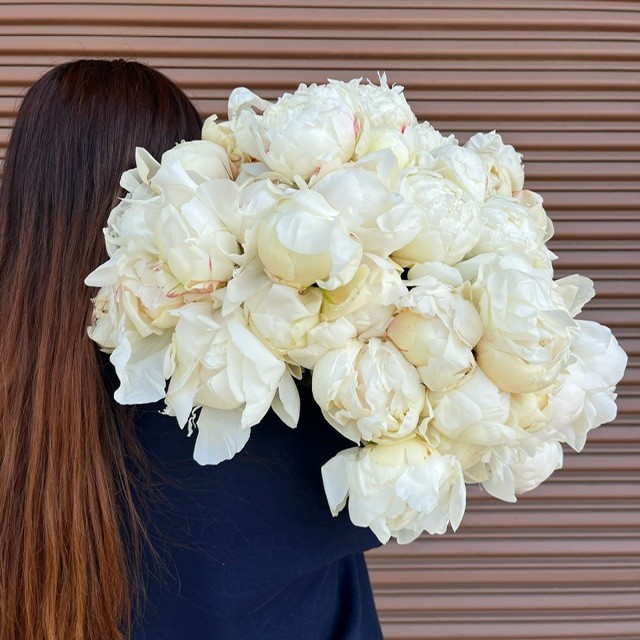 Fresh peonies from OC Wholesale Flowers inventory