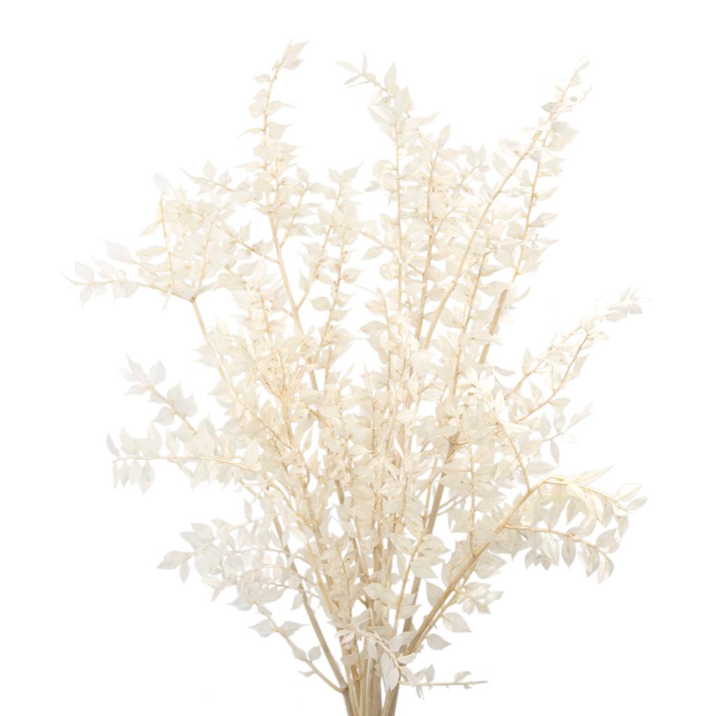Dried Floral