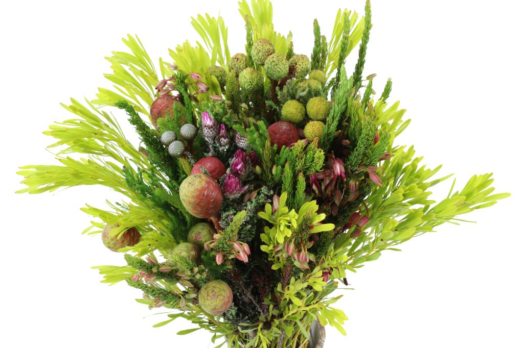 African Bouquet