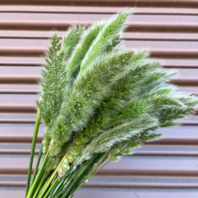 Grass Novelty