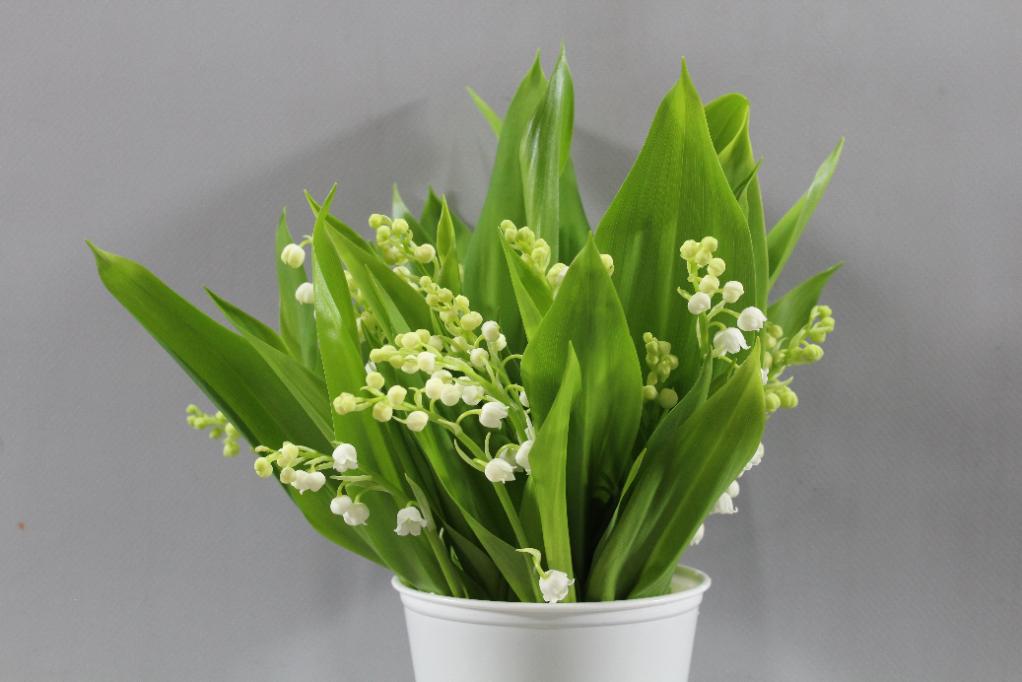 Lily of The Valley
