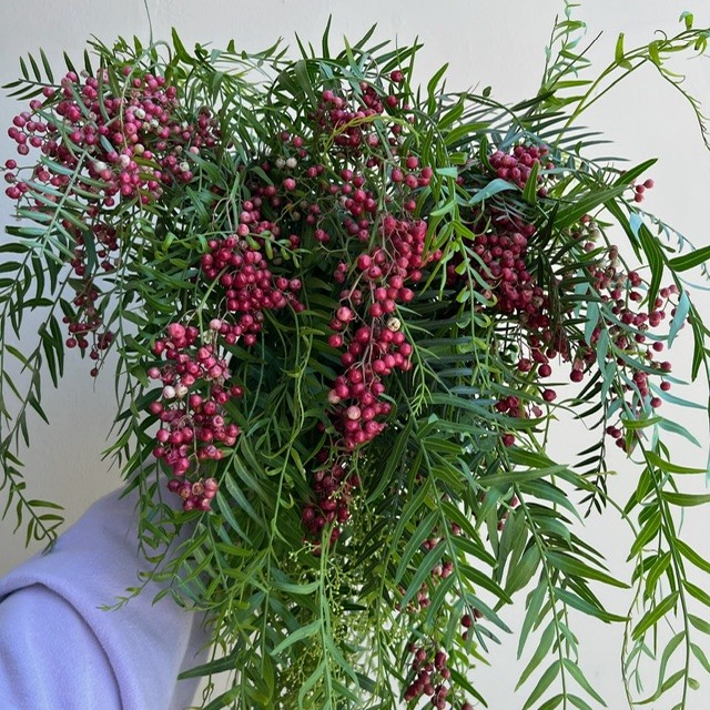 Berries