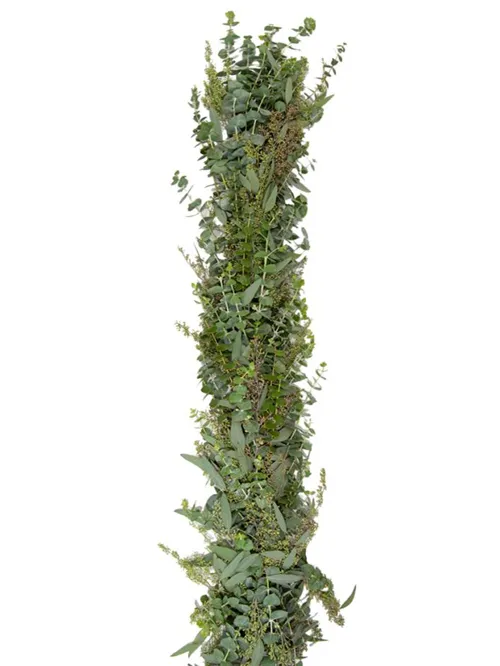 Baby Blue & Seeded Euc Garland