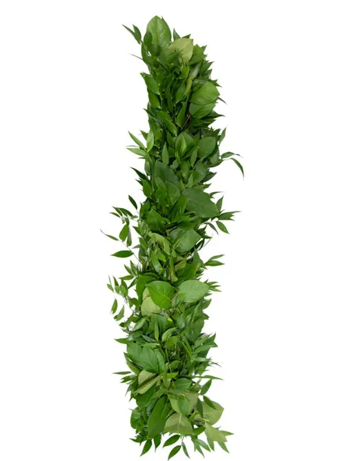 Lemon & Italian Ruscus Medium Garland