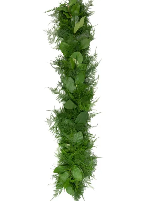 Lemon & Plumosus Medium Garland