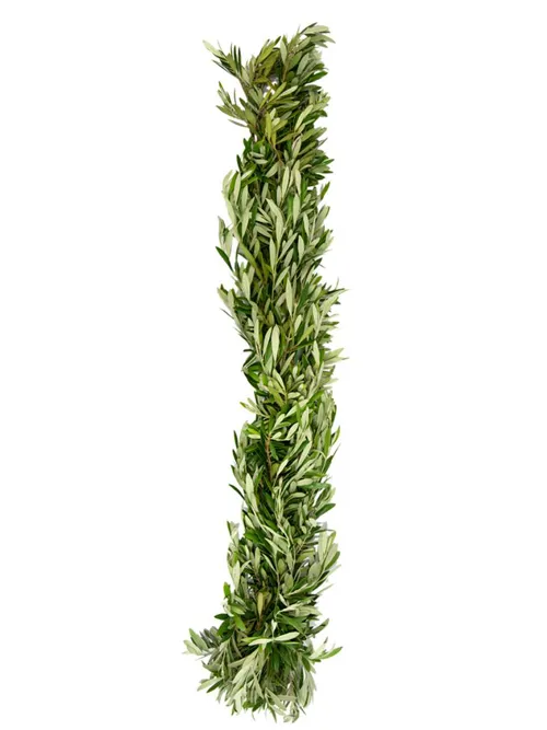 Olive Branch Garland