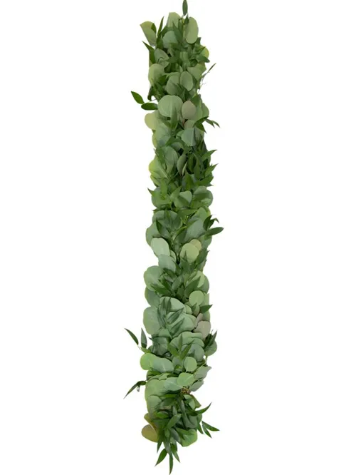 Silver Dollar & Italian Ruscus Garland