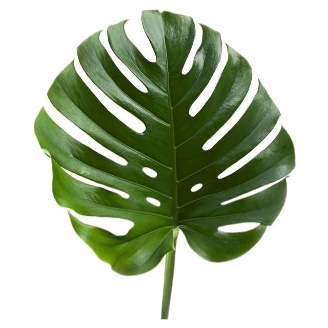 Tropical Greens