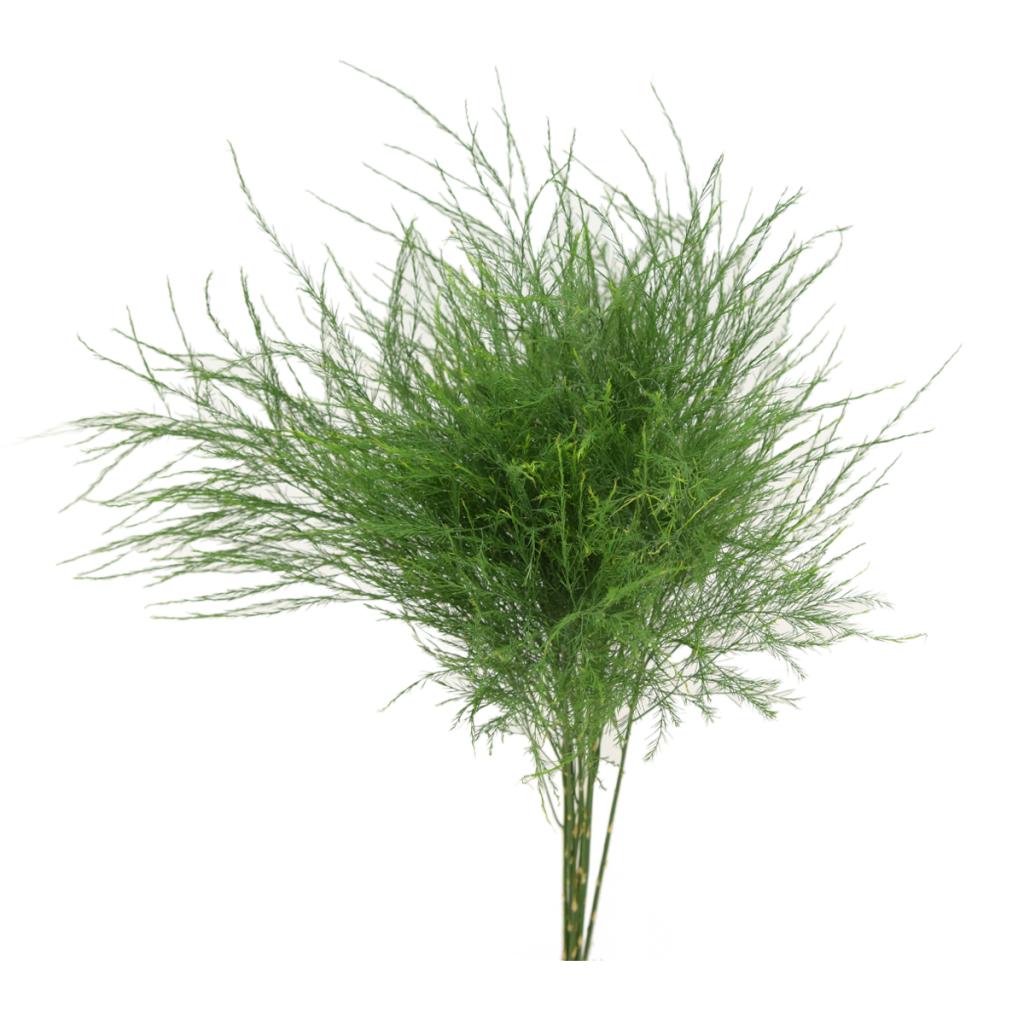 Greenery