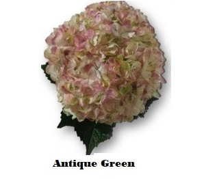Antique Green