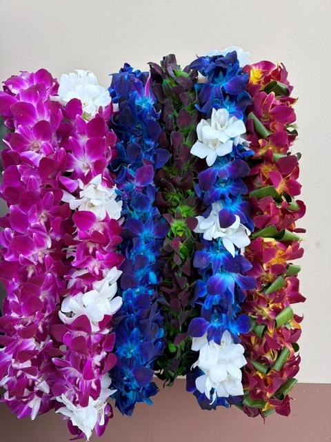 Leis