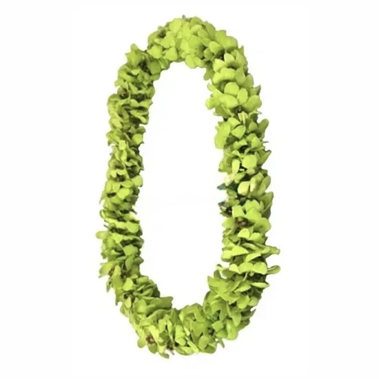 Natural Green Double