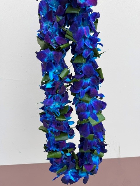 Novelty Leis