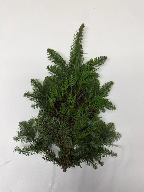 Big Mac Bunch from OC Wholesale Flowers Christmas inventory