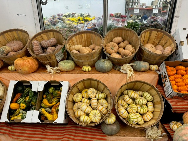 Pumpkin Fall Display 3 from OC Wholesale Flowers Fall inventory
