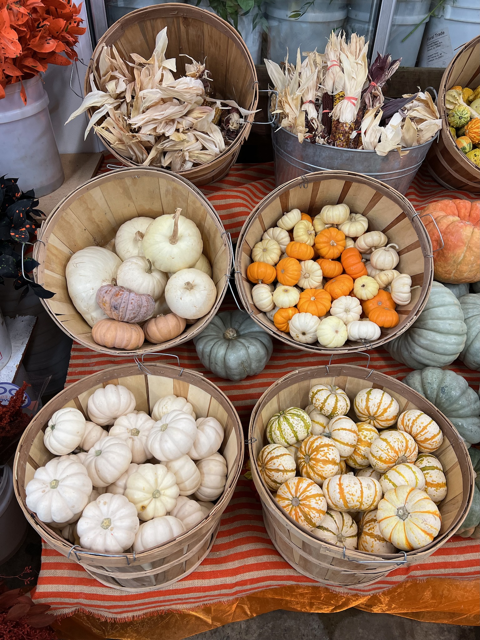 Pumpkin Fall Display 5 from OC Wholesale Flowers Fall inventory