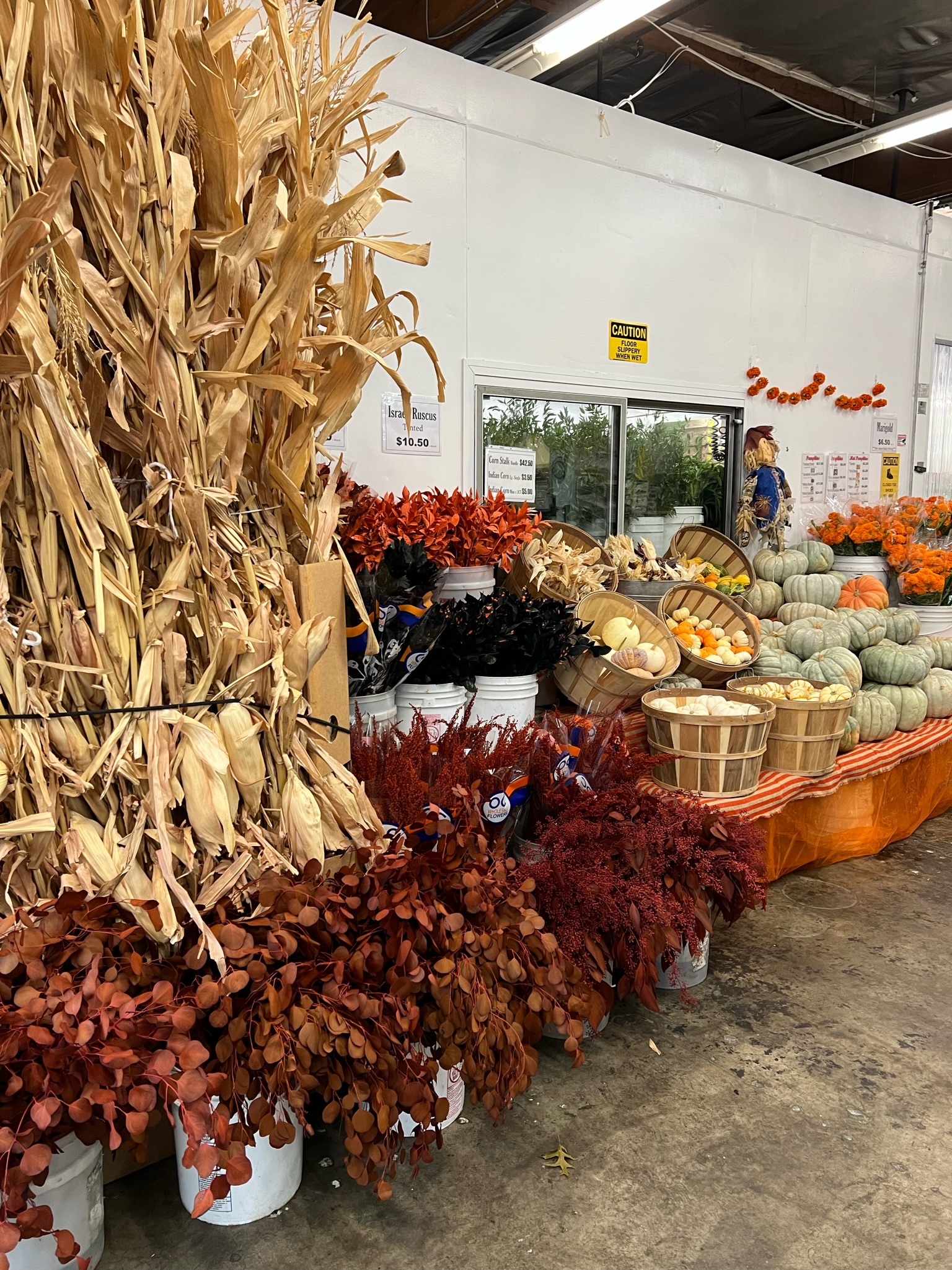 Pumpkin Fall Display 4 from OC Wholesale Flowers Fall inventory