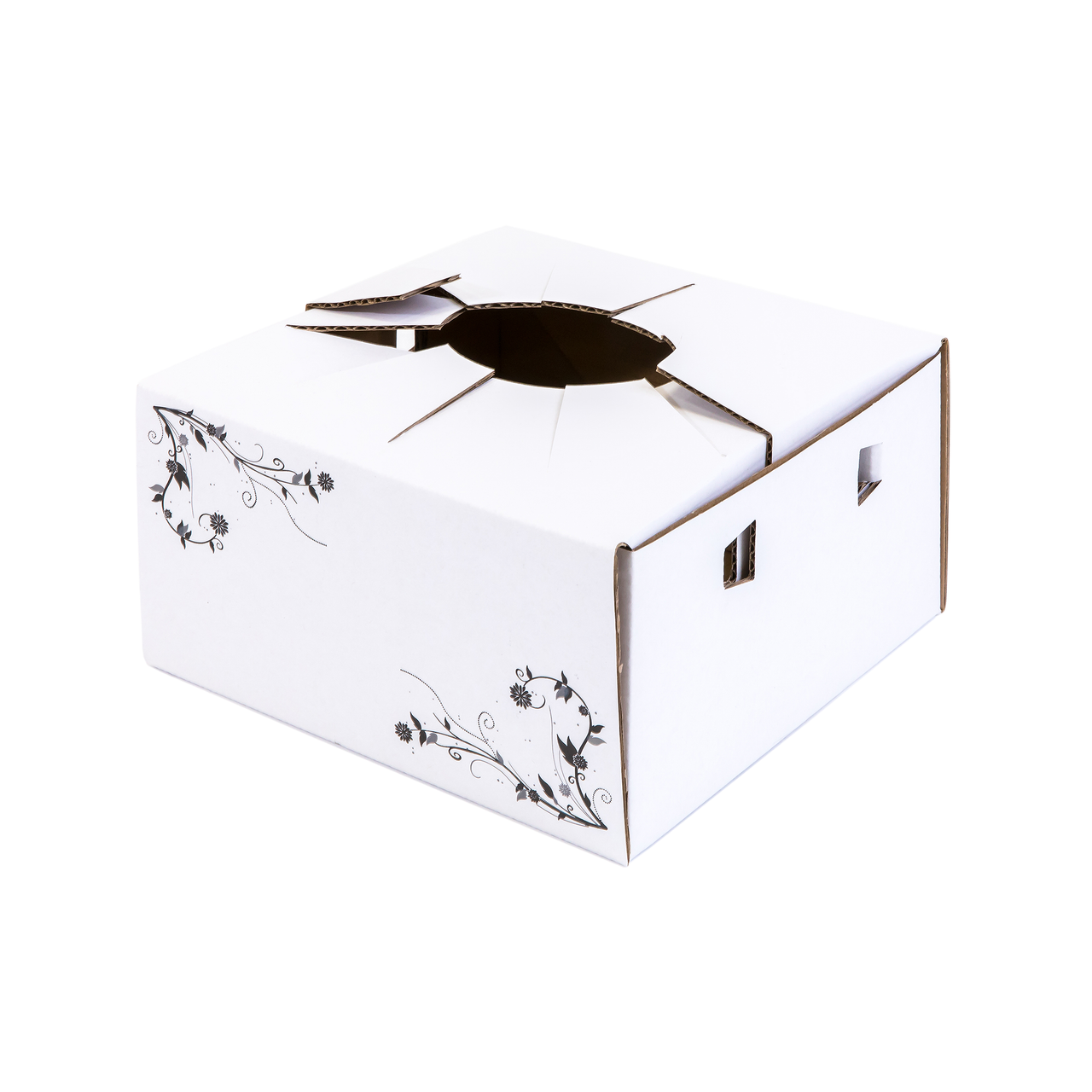 Delivery Box