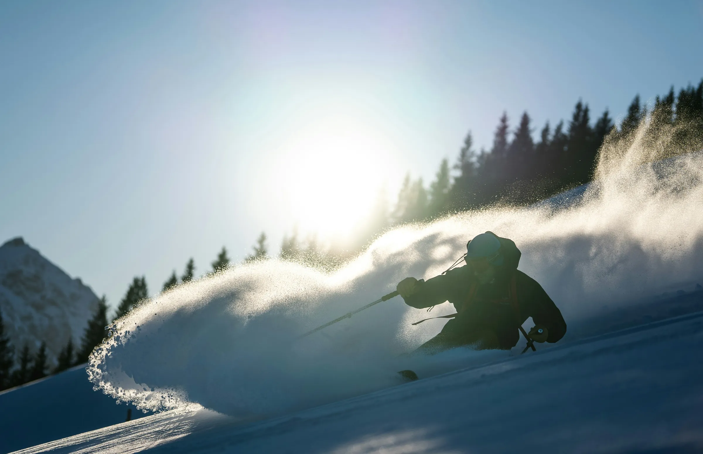 Esquiador a contraluz levantando nieve polvo entre pinos, viajes de esquí TerritorioSnow
