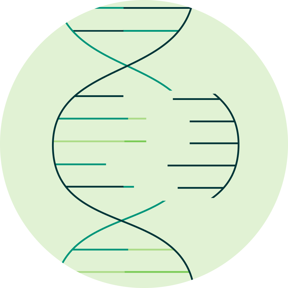 Dna Illustration - DNA X Webflow Template