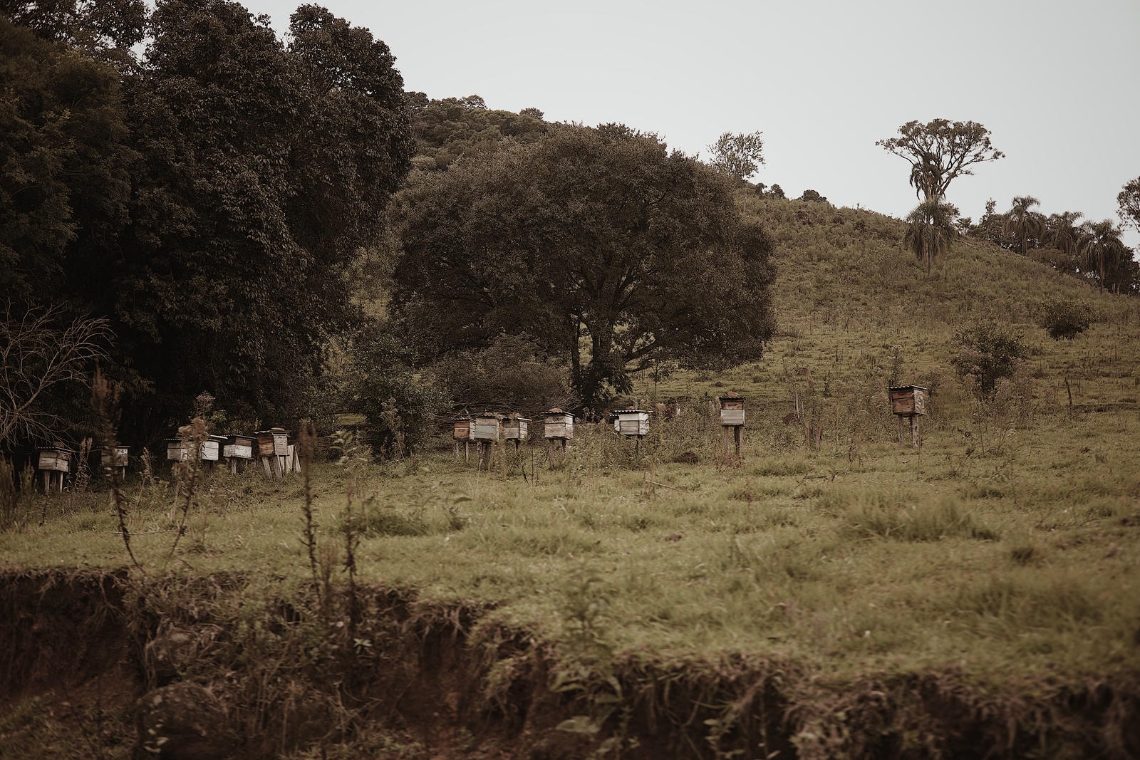 Pessoa caminhando por uma estrada rural ao entardecer