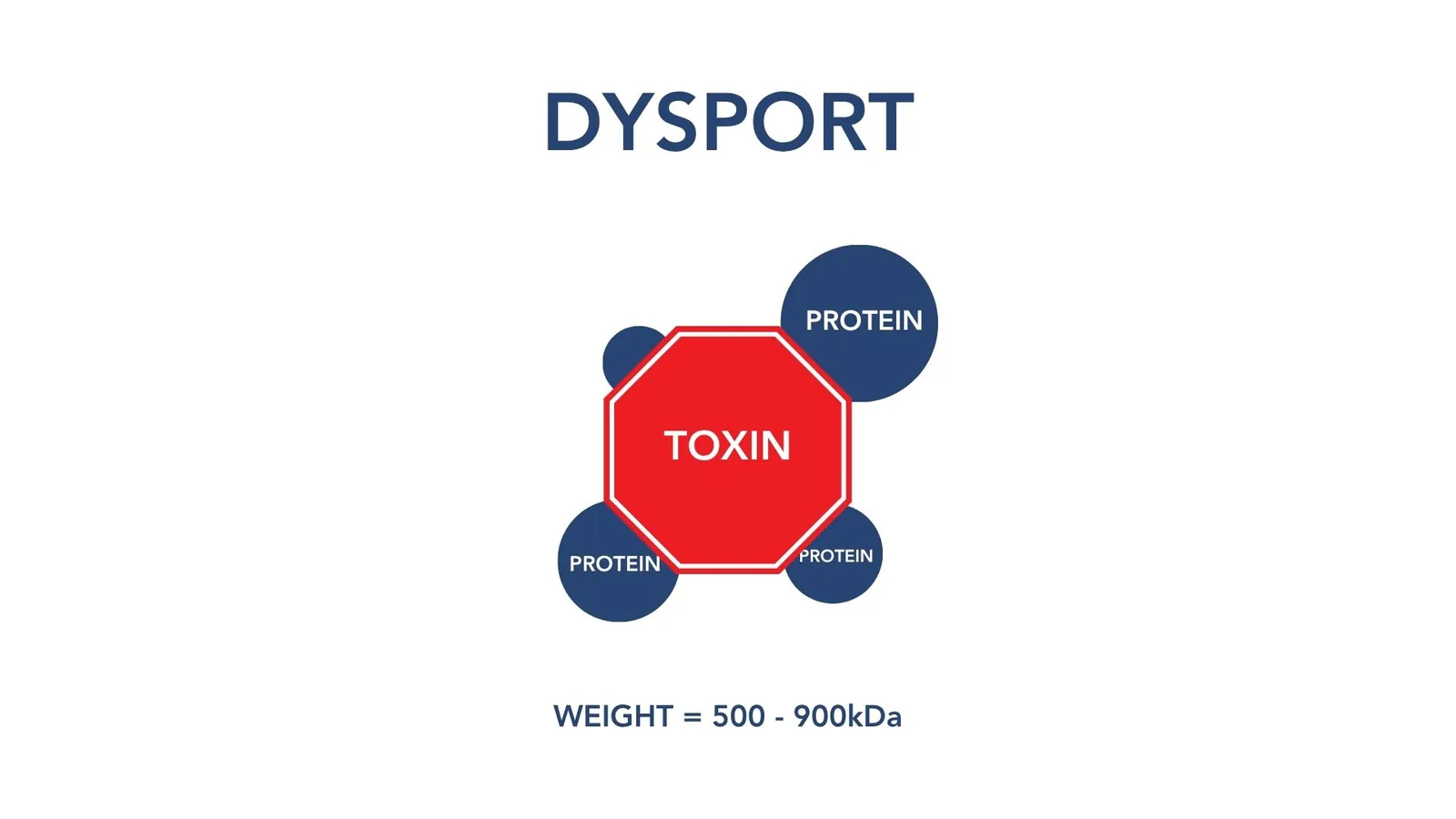 Diagram labelled Dysport: a red octagon marked TOXIN ringed by four navy circles marked PROTEIN, each a different size. Weight is given as 500 to 900 kDa.