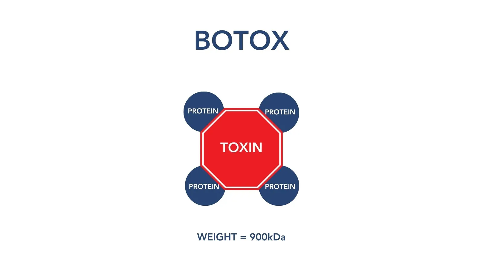 Diagram labelled Botox: a red octagon marked TOXIN ringed by four navy circles marked PROTEIN, all the same size. Weight is given as 900 kDa.