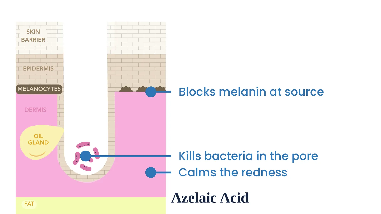 Azelaic acid