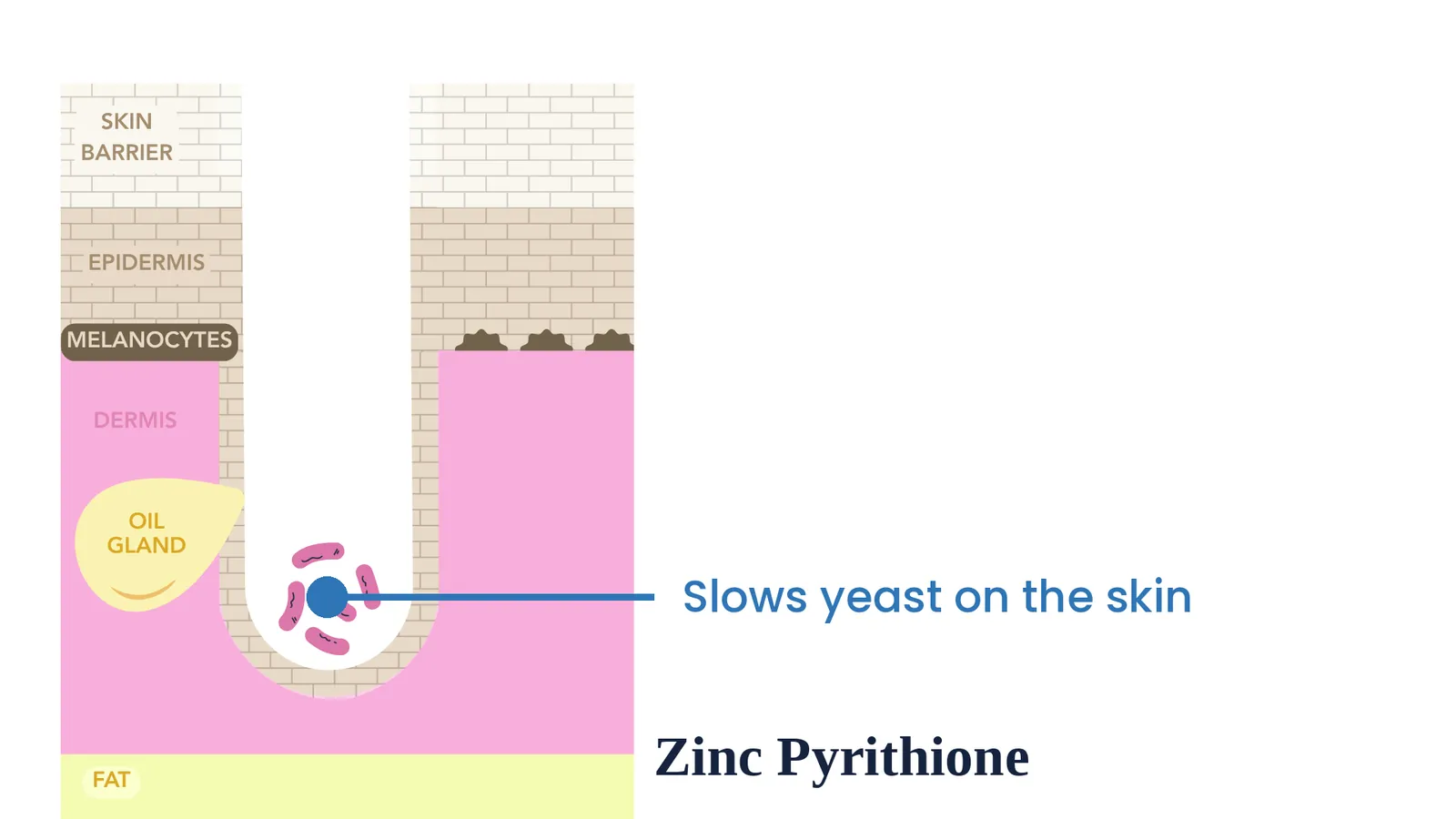 Zinc pyrithione