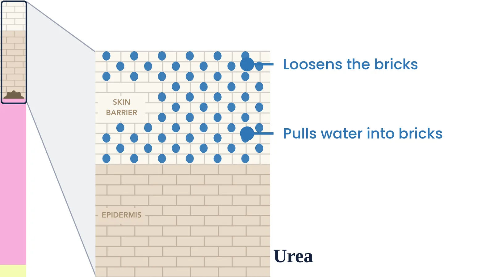 Urea