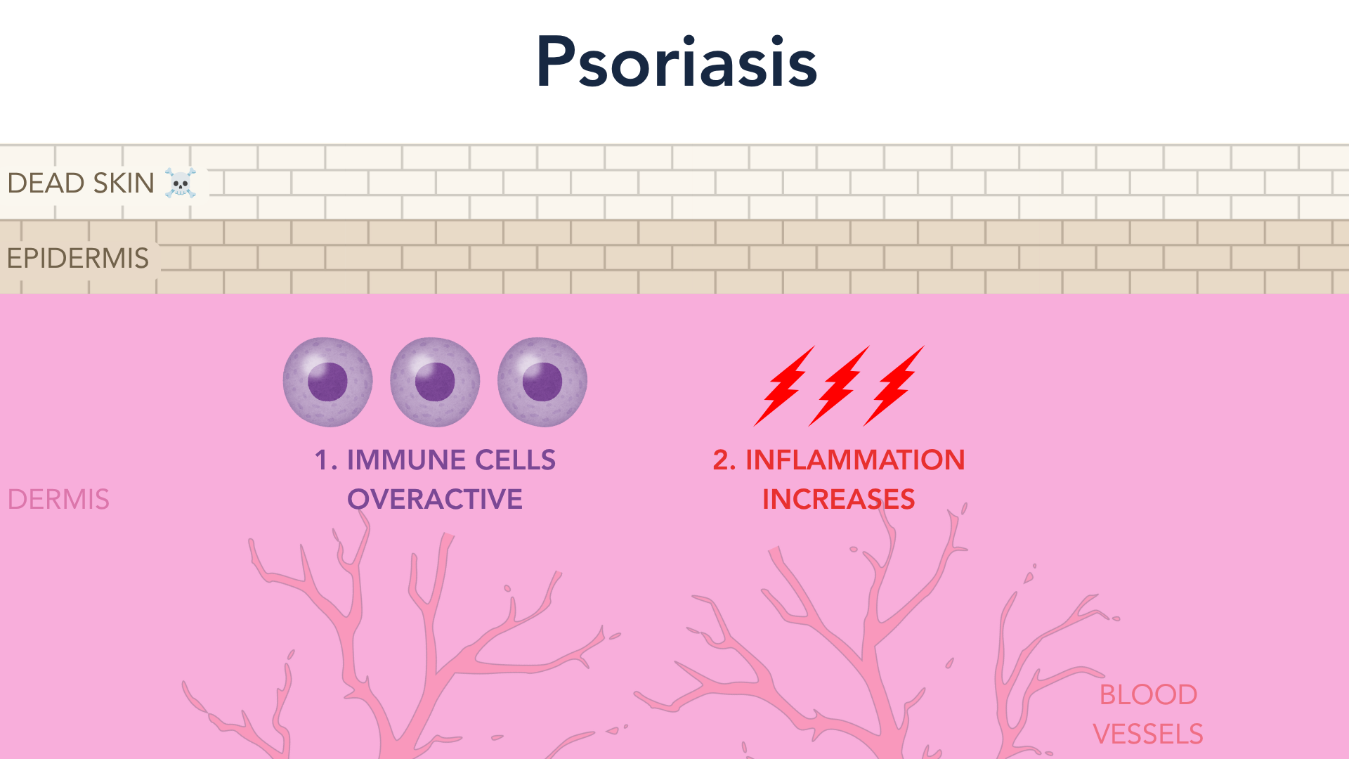 Inflammation increases