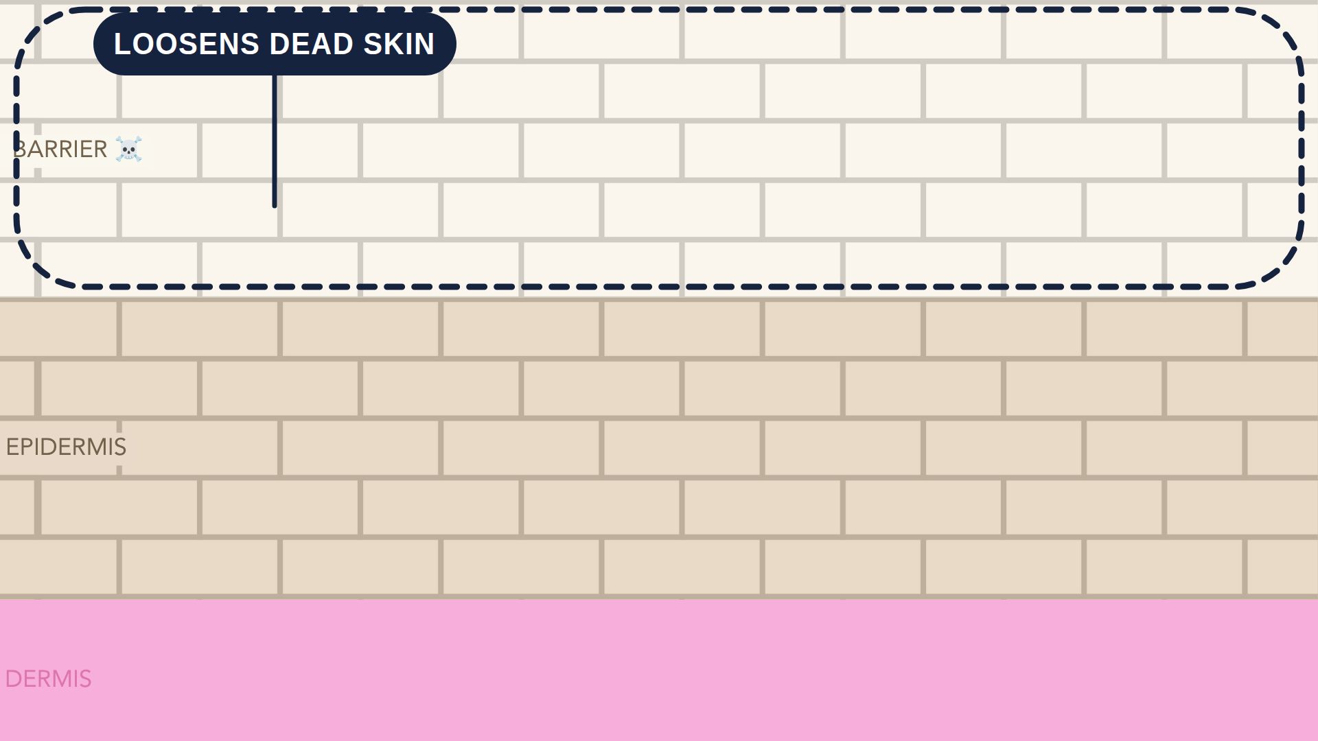 16:9 hero for Glycolic Acid. Never cropped: the tone strip and the corner logo depend on the full frame.