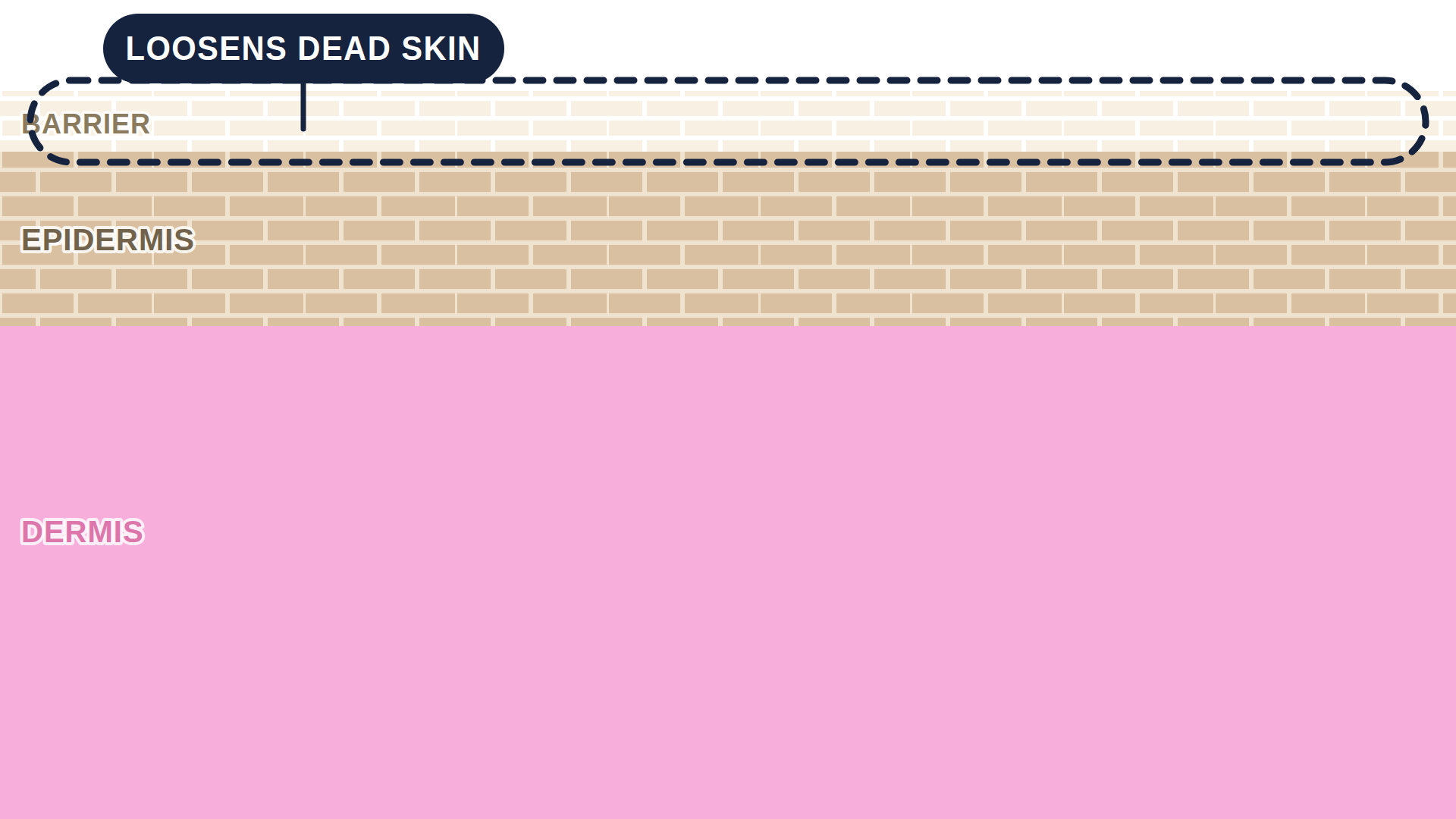 16:9 hero for Polyhydroxy Acids (PHAs). Never cropped: the tone strip and the corner logo depend on the full frame.