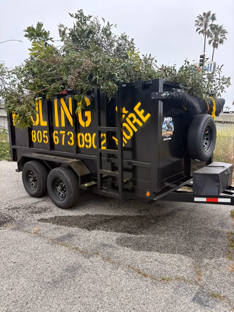 MP Junk Removal & Hauling in Ventura hauling branches and debris in the work site.