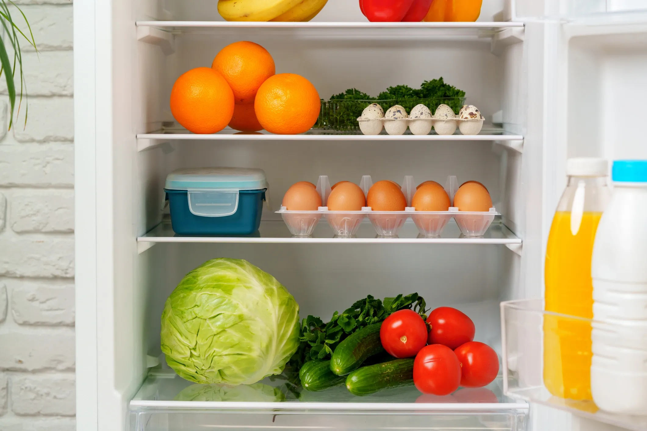 Fresh food and drinks prepared in a refrigerator for a guest's arrival