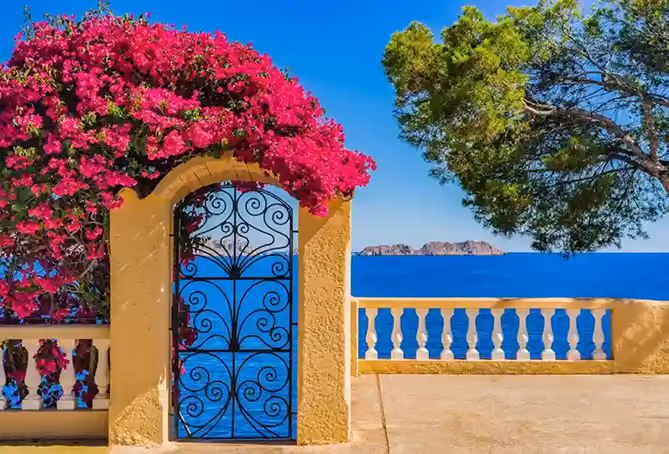 Luxury holiday rental property with Mediterranean sea view and vibrant bougainvillea in Mallorca
