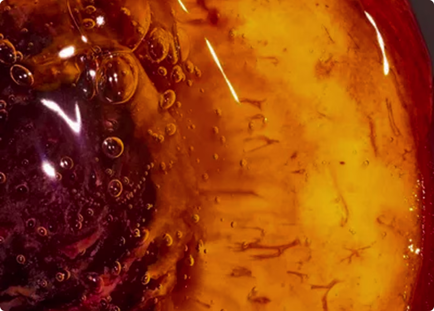 Close-up macro of amber liquid with bubbles and rich organic texture