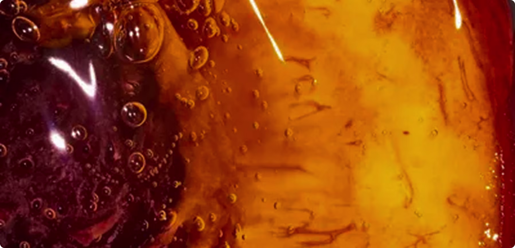 Close-up macro of amber liquid with bubbles and rich organic texture