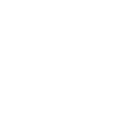 Icon Firmengründung, Umwandlung, Holdingstruktur