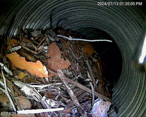 Internal view of a chimney pipe that has a hidden blockages with sticks, masonry pieces, and leaves