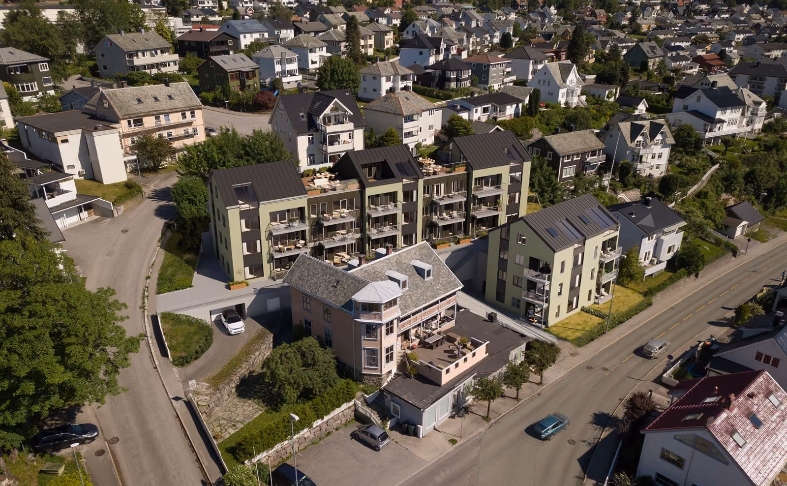 Aerial view of residential neighborhood with modern and traditional houses lined along roads and trees.